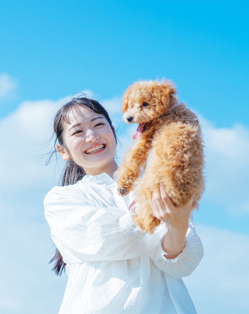 メインビジュアル